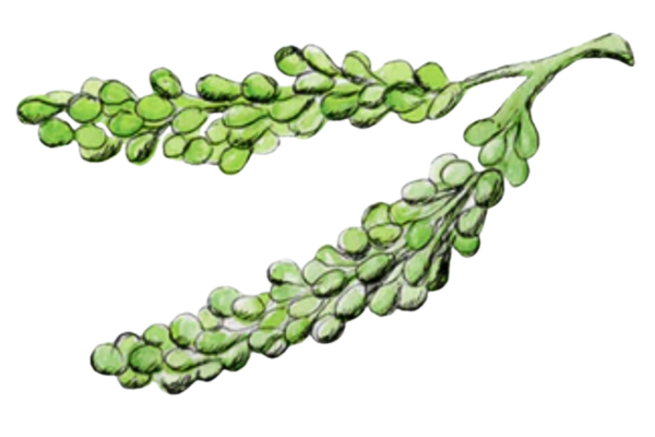 6x4 notecard (1).png__PID:ddfc6a4b-4e9e-42f5-896c-6e5297d7dcba